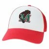 Top 10 🔔 College Hats & Caps Legacy Athletic Minot State Beavers Low Row Hat ✨ -Bauer Shop unnamed file 21