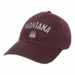 Best deal 🛒 College Hats & Caps Legacy Athletic Montana Grizzlies Reason Hat ⭐