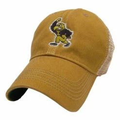 Best Pirce 🎁 College Hats & Caps Legacy Athletic Iowa Hawkeyes Flying Herky Champ Trucker Hat 🛒
